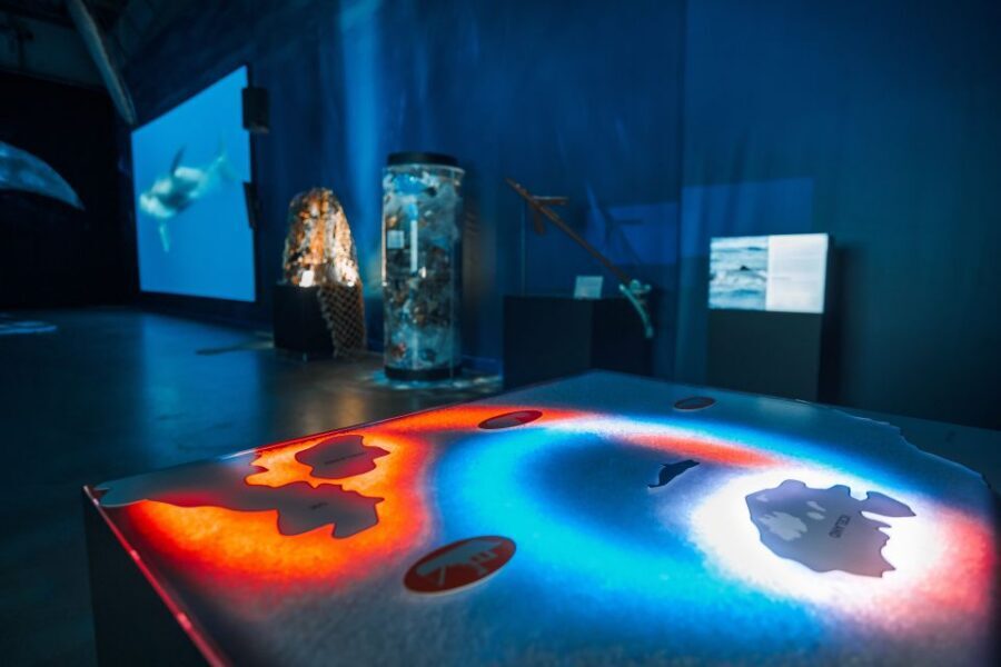 Reykjavik: Whales of Iceland Museum Entrance Ticket - Key highlights before you go