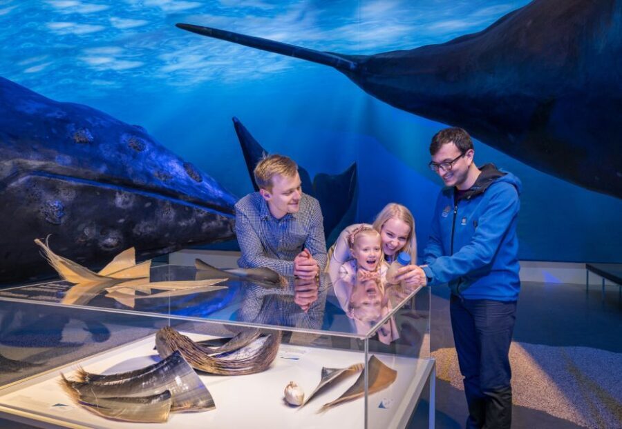Reykjavik: Whales of Iceland Museum Entrance Ticket - Should you book this Whales of Iceland museum ticket?