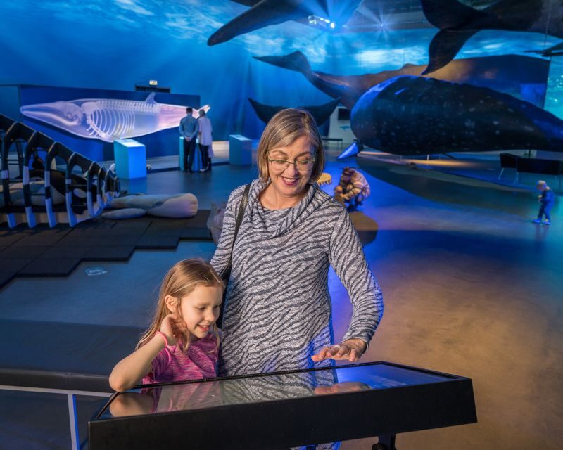 Reykjavik: Whales of Iceland Museum Entrance Ticket - Timing and ticket value: how $34 adds up