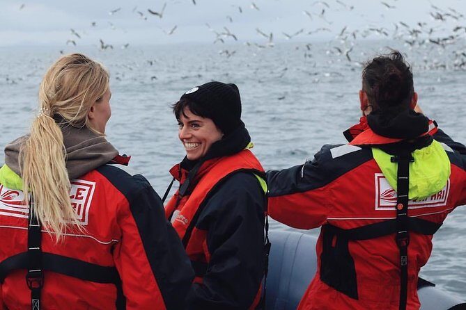 RIB Whale Watching Small-Group Boat Tour from Reykjavik - Puffins first: the quick island hop around Reykjavik