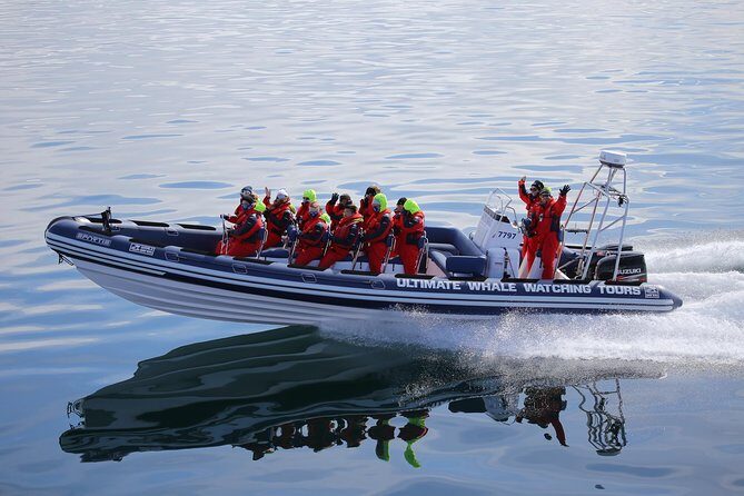 RIB Whale Watching Small-Group Boat Tour from Reykjavik - The Reykjavik shoreline cruise and Harpa stop: photos that feel earned
