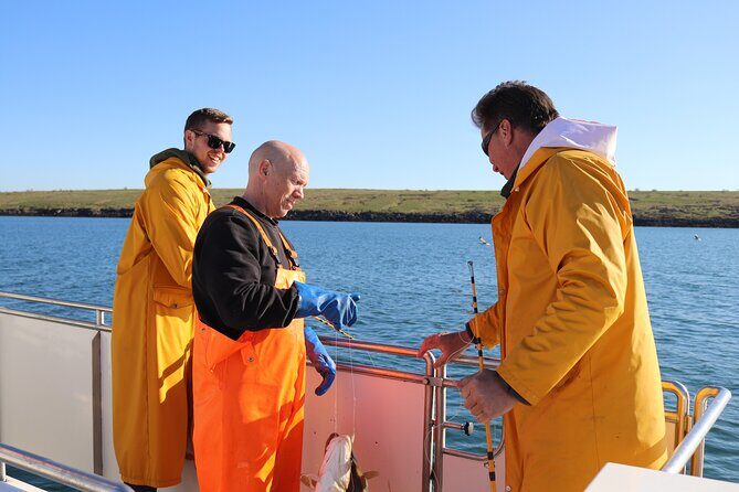 Sea Fishing Experience from Reykjavik - Key Highlights You’ll Actually Notice on the Boat