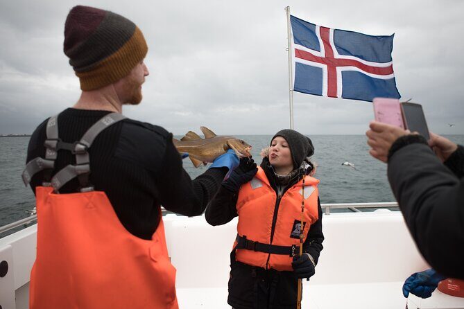 Sea Fishing Experience from Reykjavik - Akurey and Lundey in Summer: Puffins and Seabirds on the Route