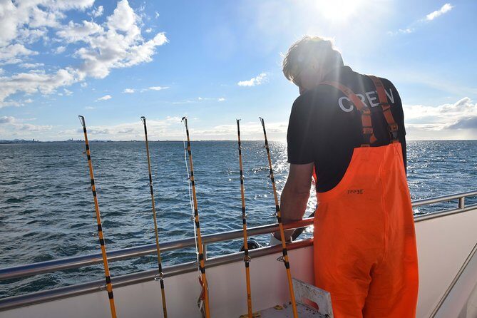 Sea Fishing Experience from Reykjavik - The Best Part: Grilling On Board or Taking Your Fish Home