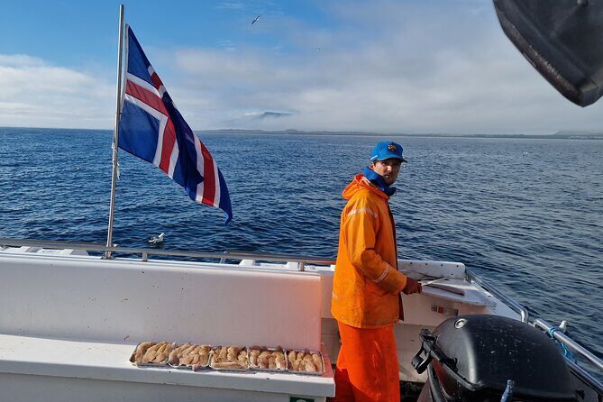 Sea Fishing Experience from Reykjavik - Weather, Rough Seas, and How to Plan Smart
