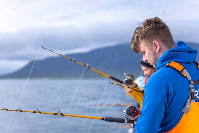 Sea Fishing Experience from Reykjavik - From Coaching to Catching: How the Crew Runs the Fishing