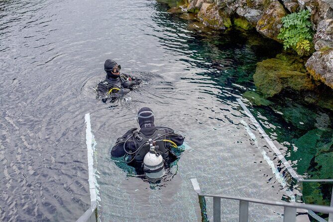 Silfra: Diving Between Tectonic Plates and Pick Up from Reykjavik - After the water: hot chocolate, cookies, and what to watch for