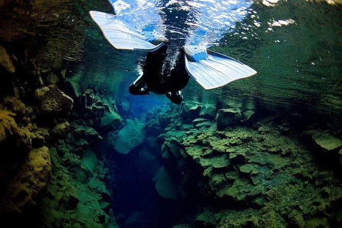 Silfra Fissure Snorkeling From Reykjavík - Free Underwater Photos - Thingvellir National Park intro: learning the geology before the water