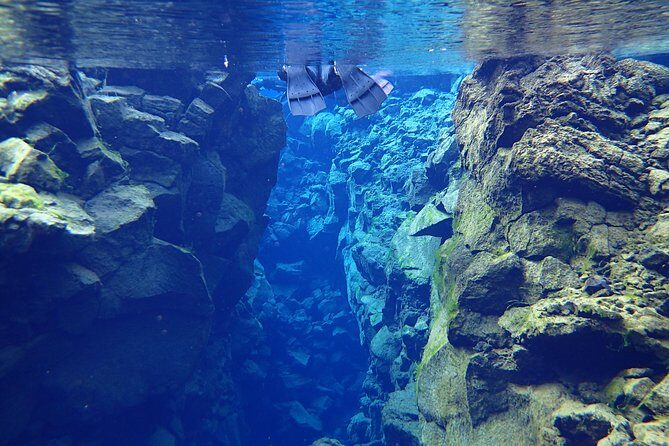 Silfra Fissure Snorkeling From Reykjavík - Free Underwater Photos - The dry suit reality check (hands first, then calm)