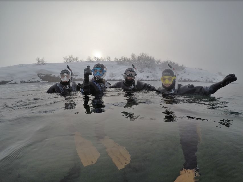 Silfra: Fissure Snorkeling Tour with Underwater Photos - Swimming Between North America and Europe (What You’ll See Underwater)