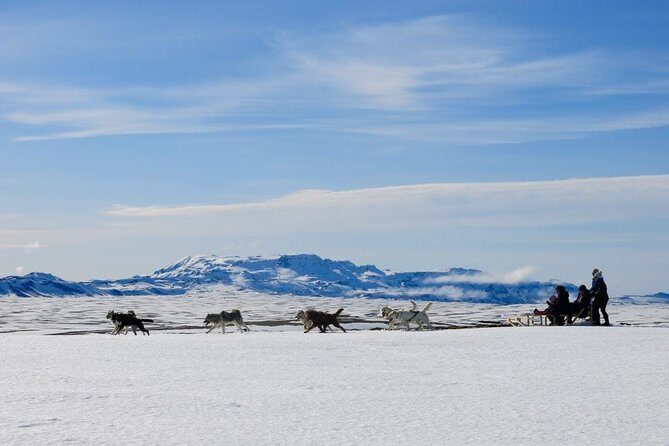 Small Group Husky Sledding Tour from Capital Region - Key Highlights Worth Your Time