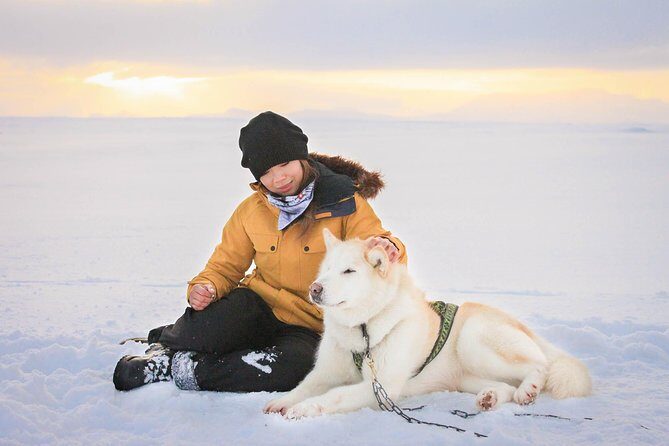 Small Group Husky Sledding Tour from Capital Region - The Dog Meet-and-Greet: Why This Part Matters