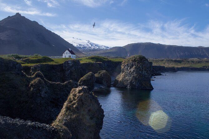 Snaefellsnes Small Group Tour with Homemade Meal from Reykjavik - Price and value: what you’re really buying for $238.12