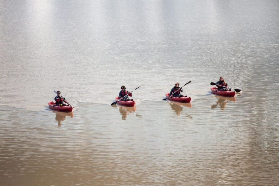 Sólheimajökull: Guided Kayaking Tour on the Glacier Lagoon - Who should book this kayaking tour (and who should think twice)