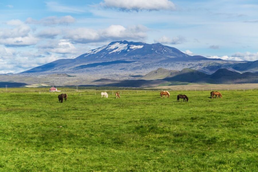 South Coast Classic: Full-Day Tour from Reykjavik - The South Coast Classic: Why This Route Works So Well