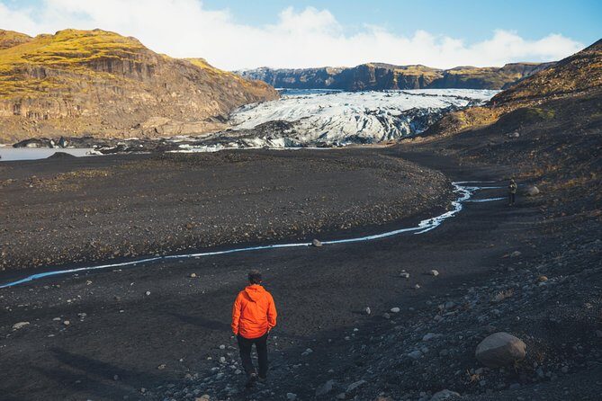 South Coast Day Tour Black Sand Beach & Waterfalls from Reykjavik - Value Check: Is $109.80 Worth It?
