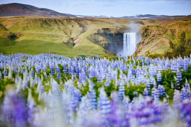 South Coast Iceland from Reykjavik with Guide & Touchscreen Audio - Seljalandsfoss: walk-behind-the-waterfall thrills (and how to not suffer)