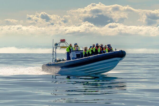 Speedboat Whale Watching Small-Group Tour in Reykjavik - Why a speedy RIB in Faxaflói Bay is worth the money