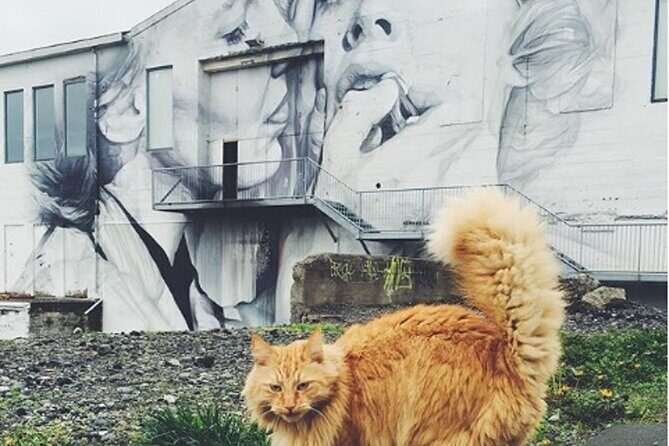 The Reykjavik Cat Walking Tour - Kattakaffihúsið: the warm break with coffee, pastry, and petting