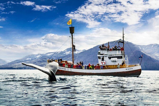 Traditional Oak Ship Whale Watching Tour From Husavik - The traditional oak ship sailing: what your 3 hours really feels like