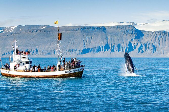 Traditional Oak Ship Whale Watching Tour From Husavik - Price and value: is $118.56 worth it?