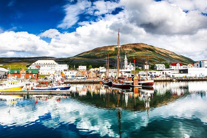 Traditional Oak Ship Whale Watching Tour From Husavik - Practical logistics: where to meet and how to show up prepared