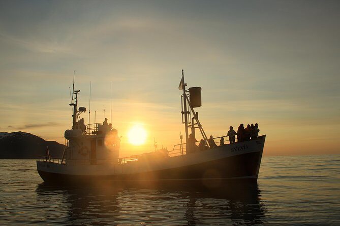 Traditional Whale Watching from Húsavík by Local Family Company - Practical value: is $102.58 a good deal for Húsavík whale watching?
