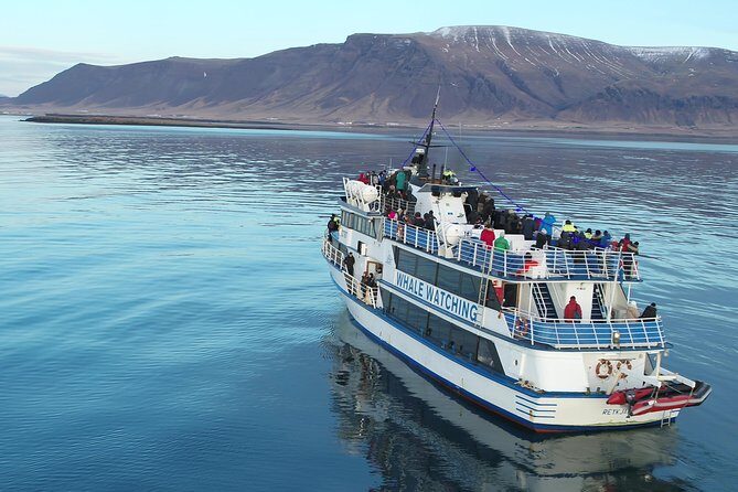 Whale-Watching Boat Tour with Expert Guide from Reykjavik - Choosing Between 2.5 Hours and 3.5 Hours