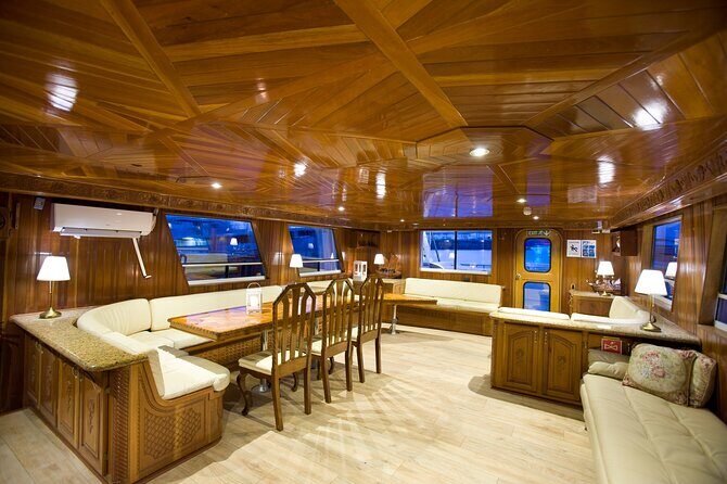 Whale Watching Cruise on a Yacht in Reykjavik - The real math on price: $102 for 3 hours plus a free return safety net