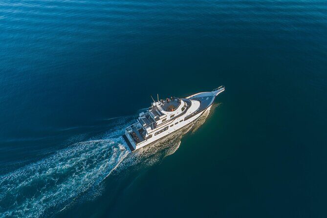 Whale Watching Cruise on a Yacht in Reykjavik - The island loop: Engey, Lundey, and Viðey as wildlife checkpoints