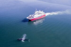 Whale Watching from Downtown Akureyri - Price and Value: What $104 Buys You in Real Life